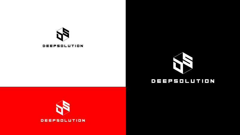 DS Visual Identity System
